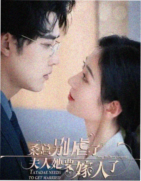 看看影院电视剧 青瓦巷 海报